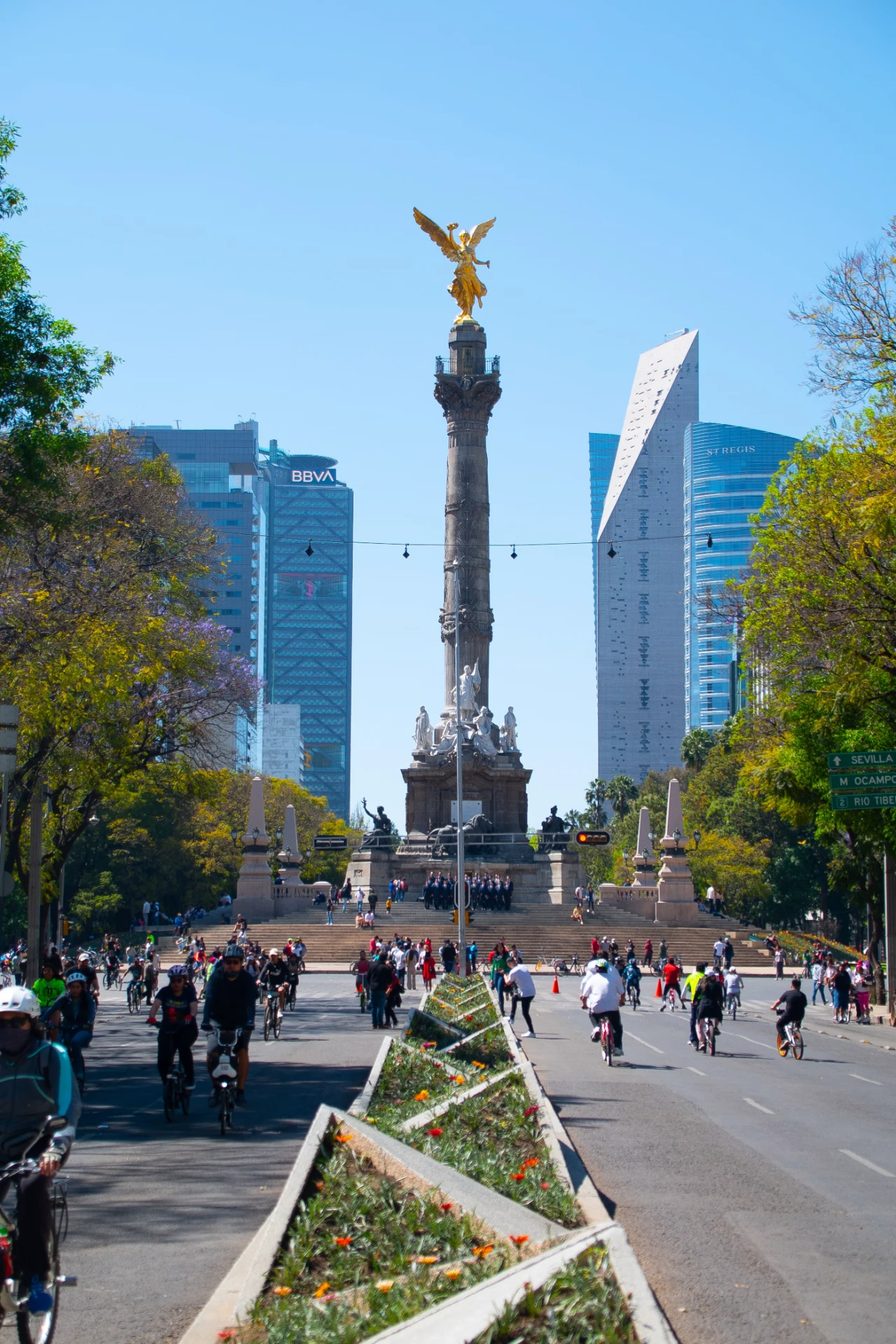 Reforma en domingo