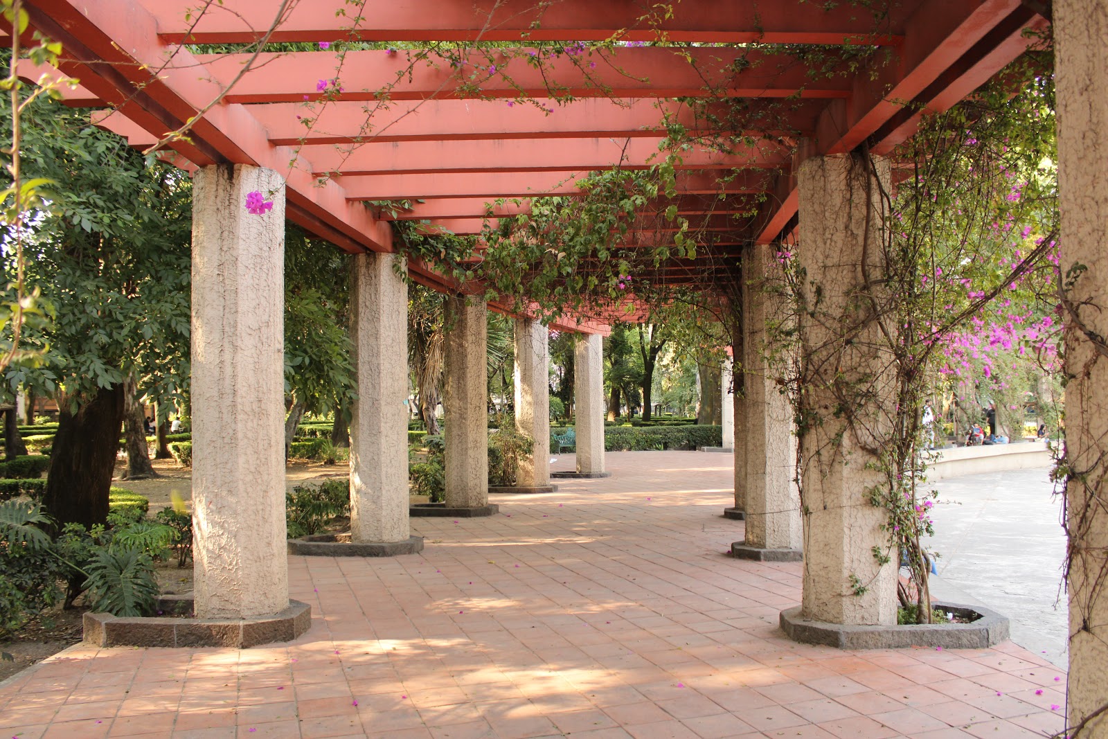 Pérgolas de Parque México