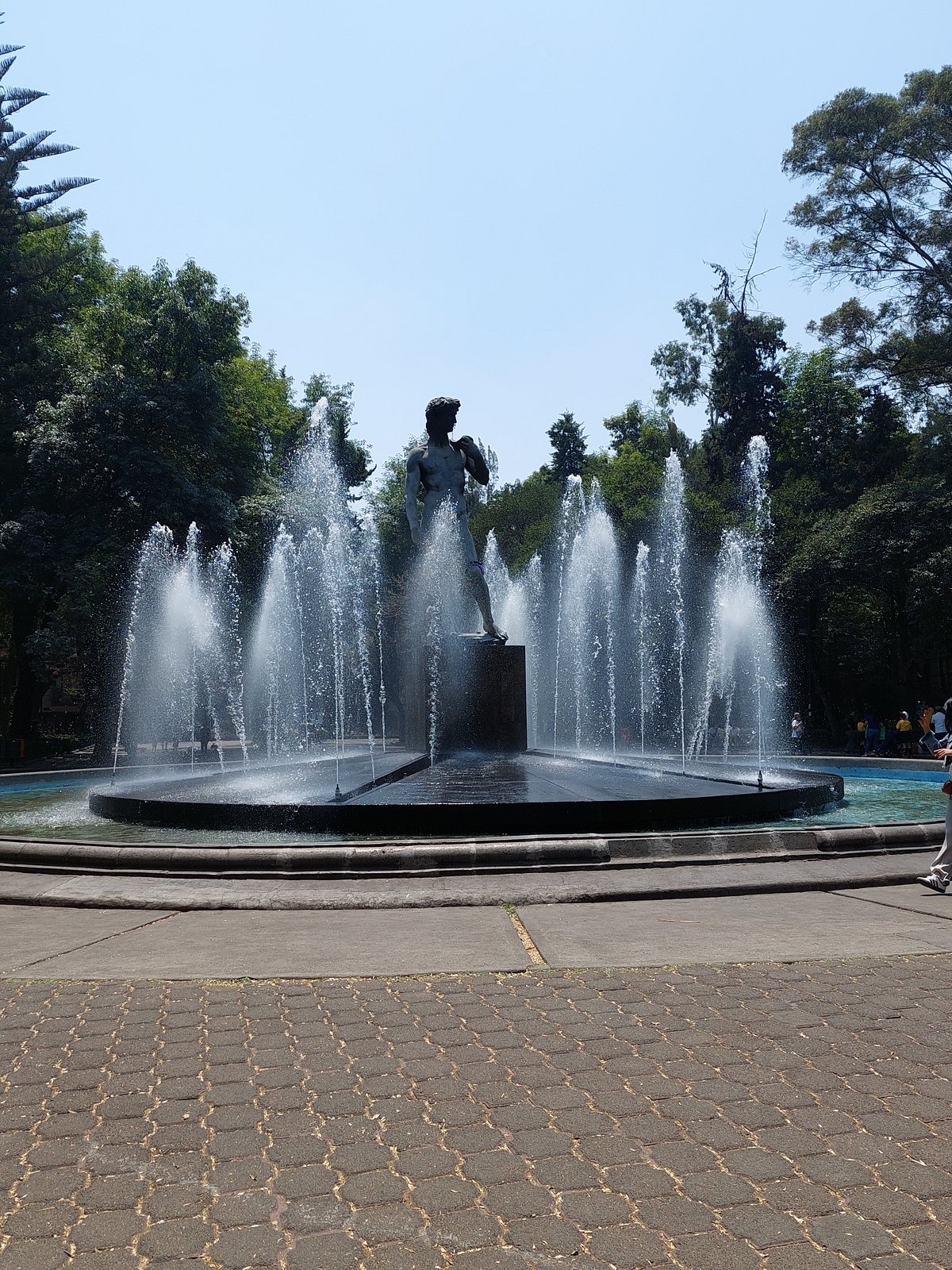 Plaza Río de Janeiro · Roma Norte